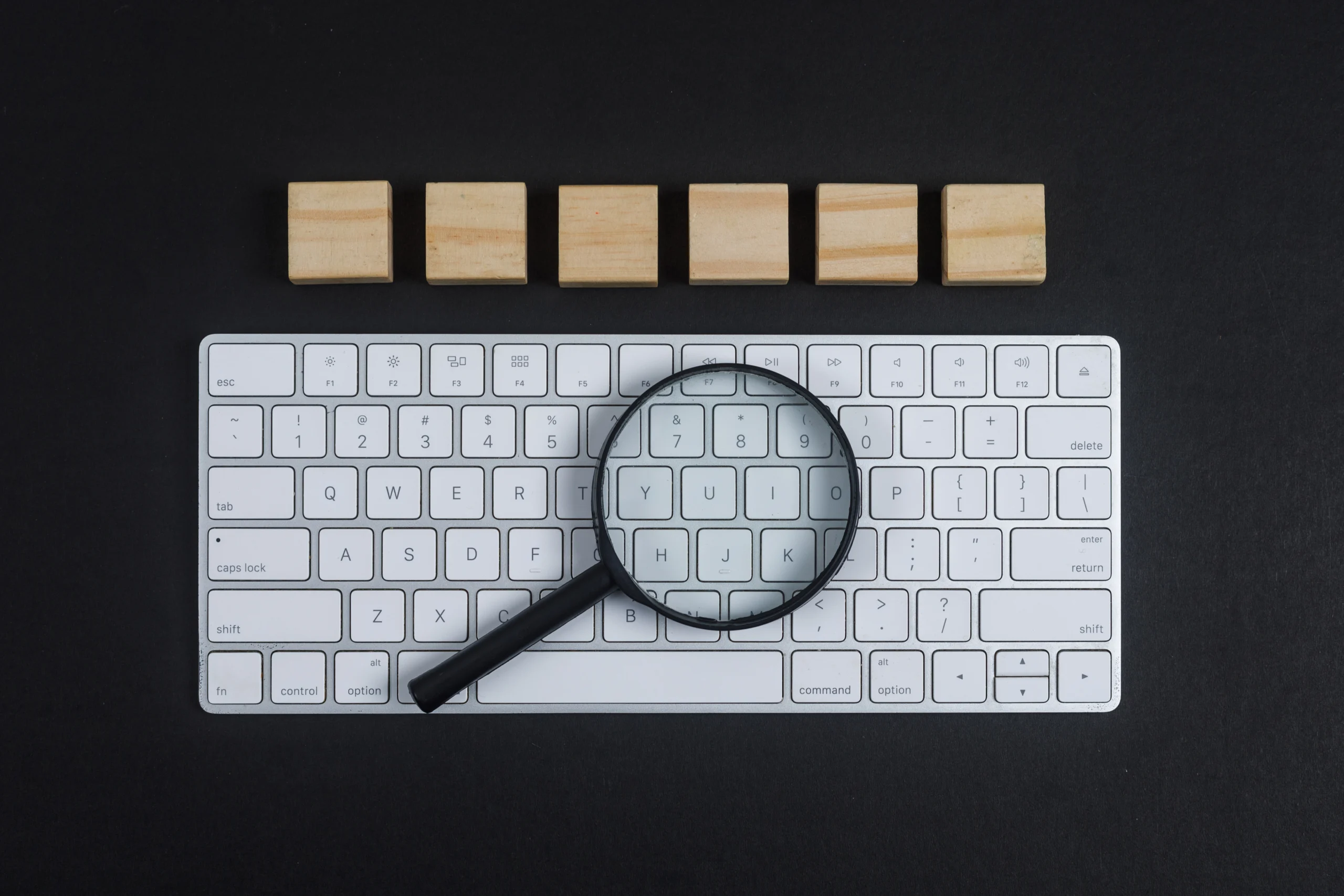 Best SEO Expert in Calicut